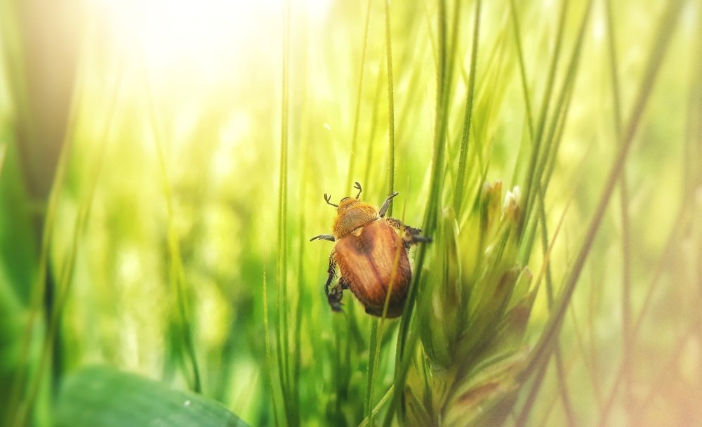 Photograph by Кристина Шляхова