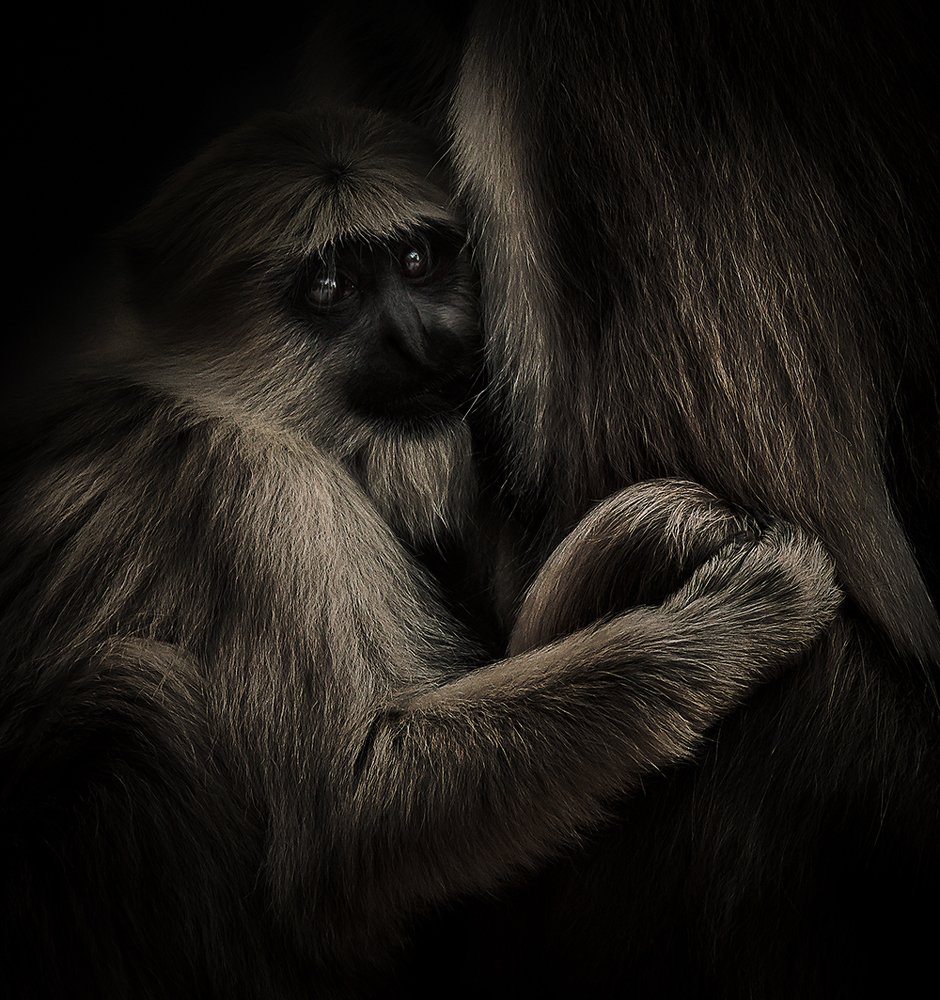 Photograph by Koushik Mohanta