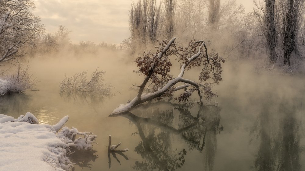 Photograph by Alexander Plekhanov