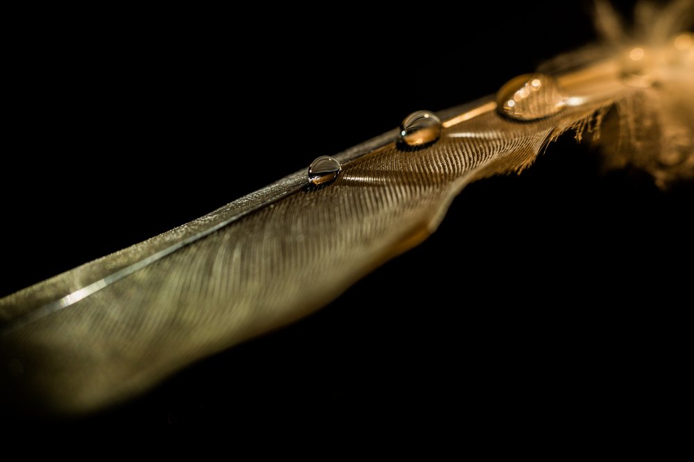 Photograph by Tiby Cherian