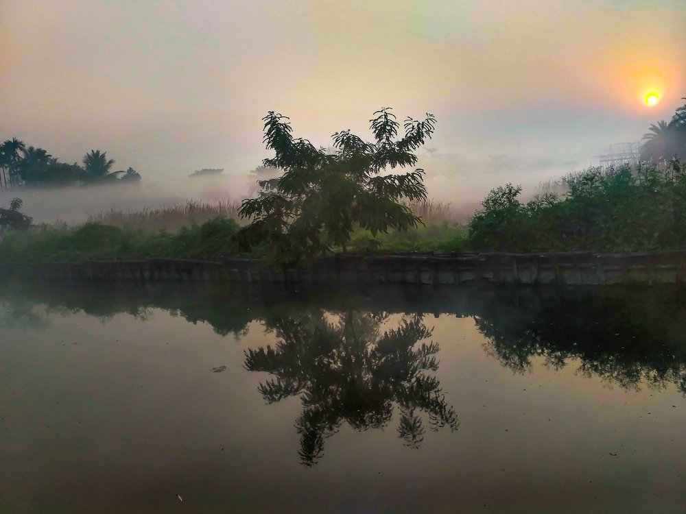 Photograph by Partho Kundu