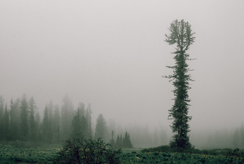 Photograph by Оксана Корчагина