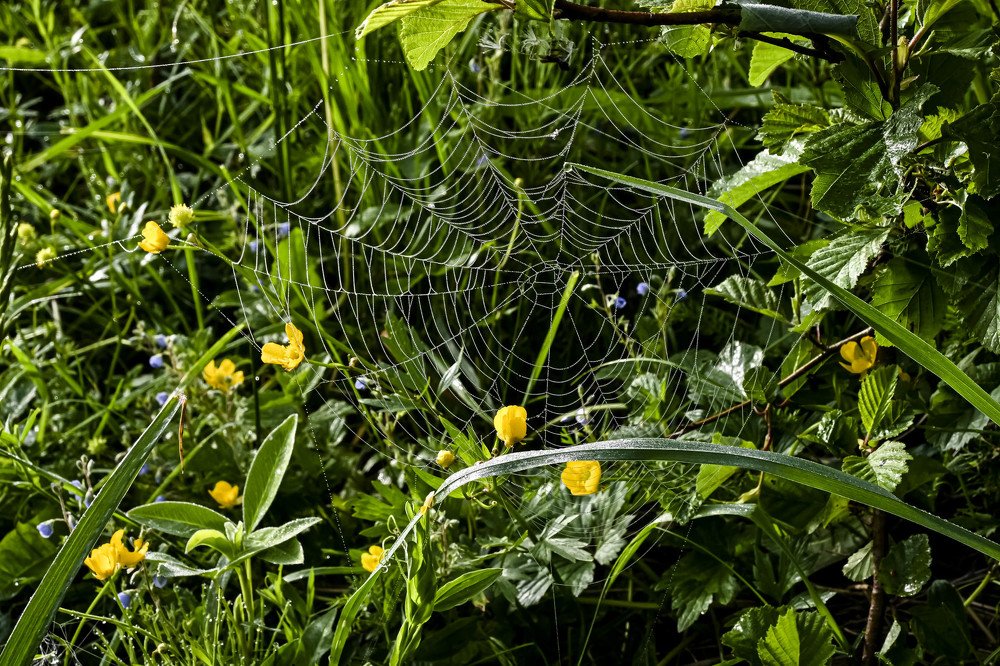 Photograph by Elena Novitskaya