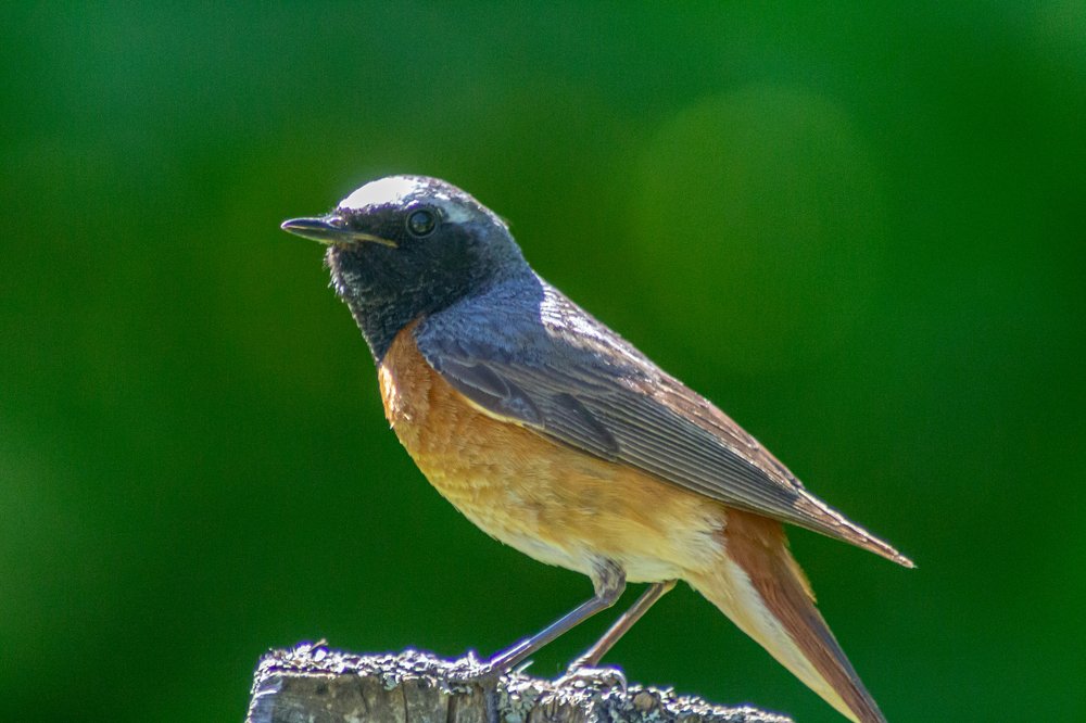 Photograph by Илья Нелюбин