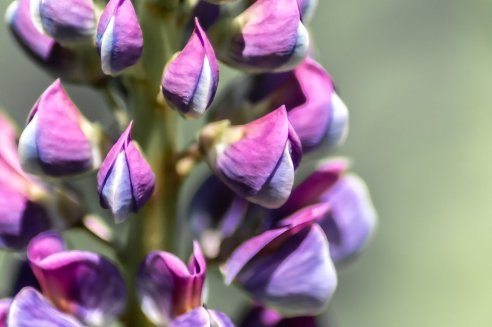 Photograph by Илья Нелюбин