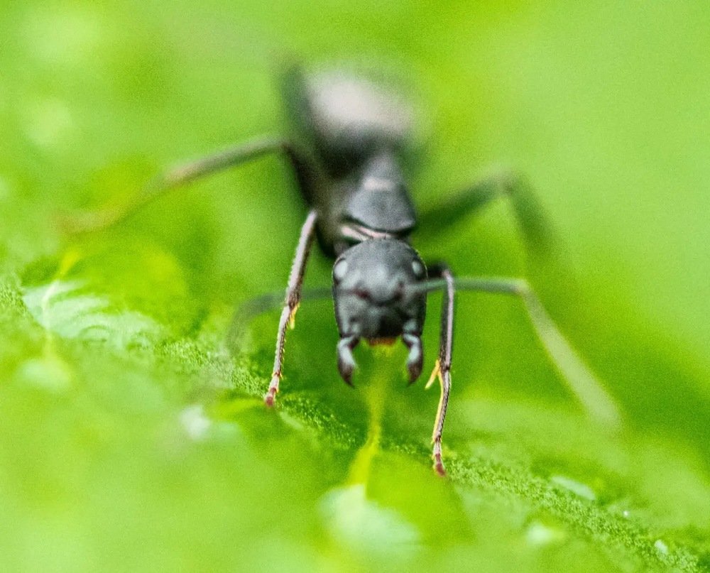 Photograph by Александр Кононов