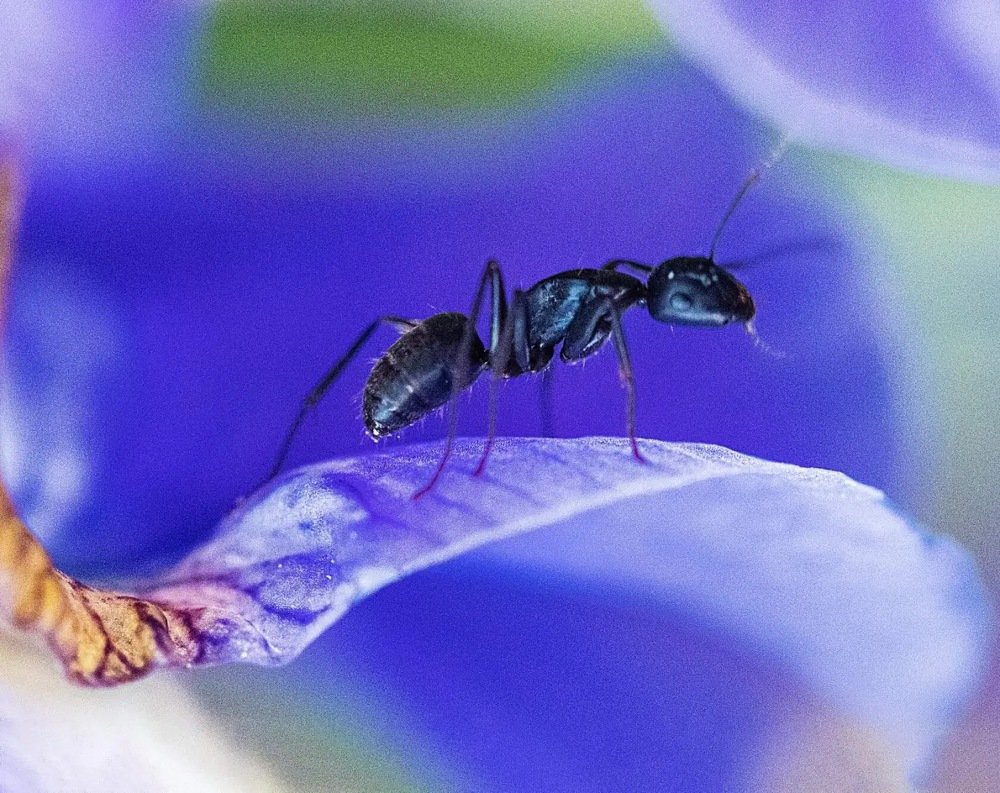 Photograph by Александр Кононов