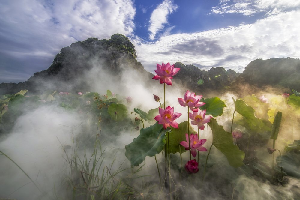 Photograph by Hoàng Hiếu