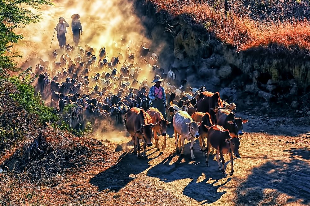 Photograph by Ye Chit Paing