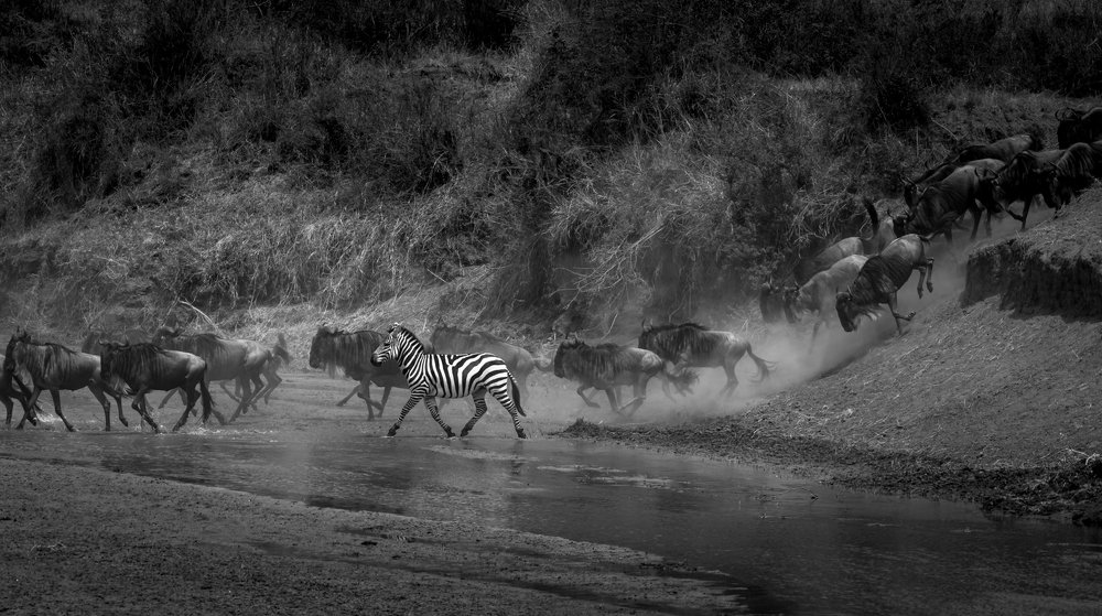 Фотография автора Ravikumar Kannaiyan