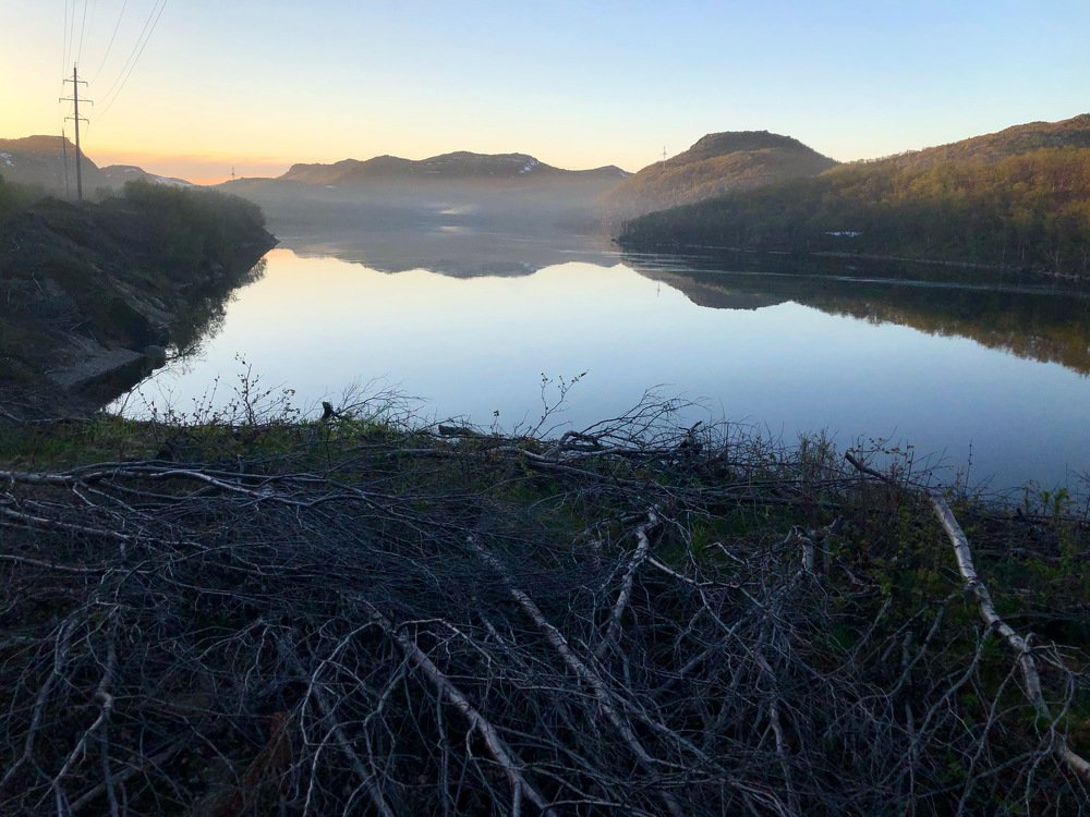 Фотография автора Алёна Салтыкова