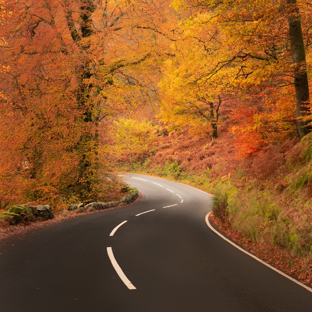 Photograph by Jaume Llacer