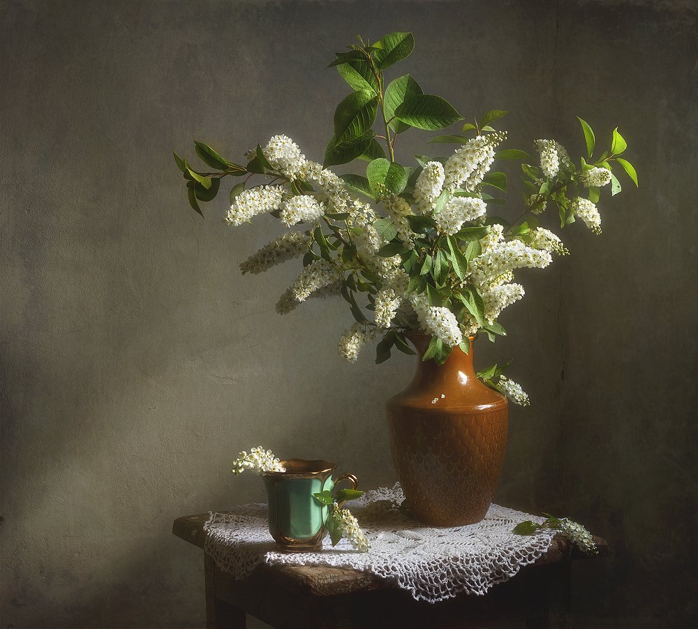 Черемуха душистая