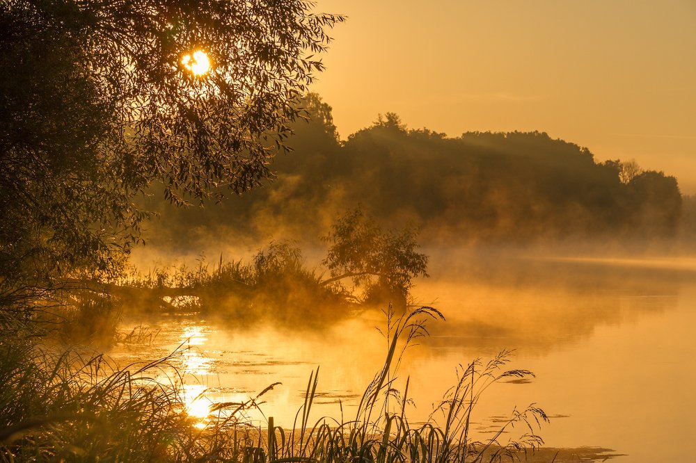 Рассветная