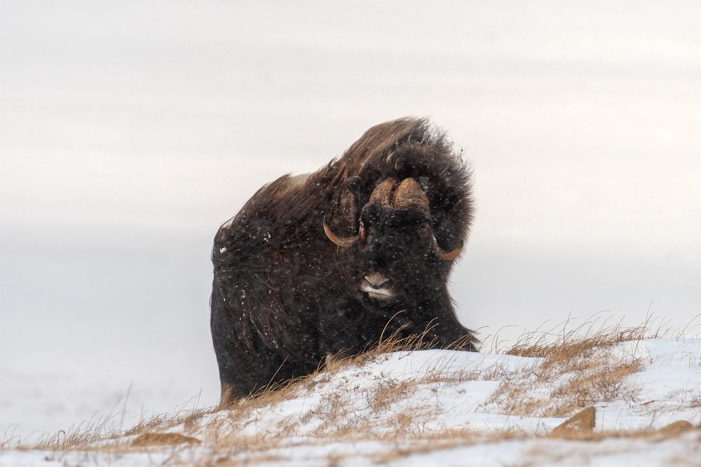 Photograph by Моисеева Надежда