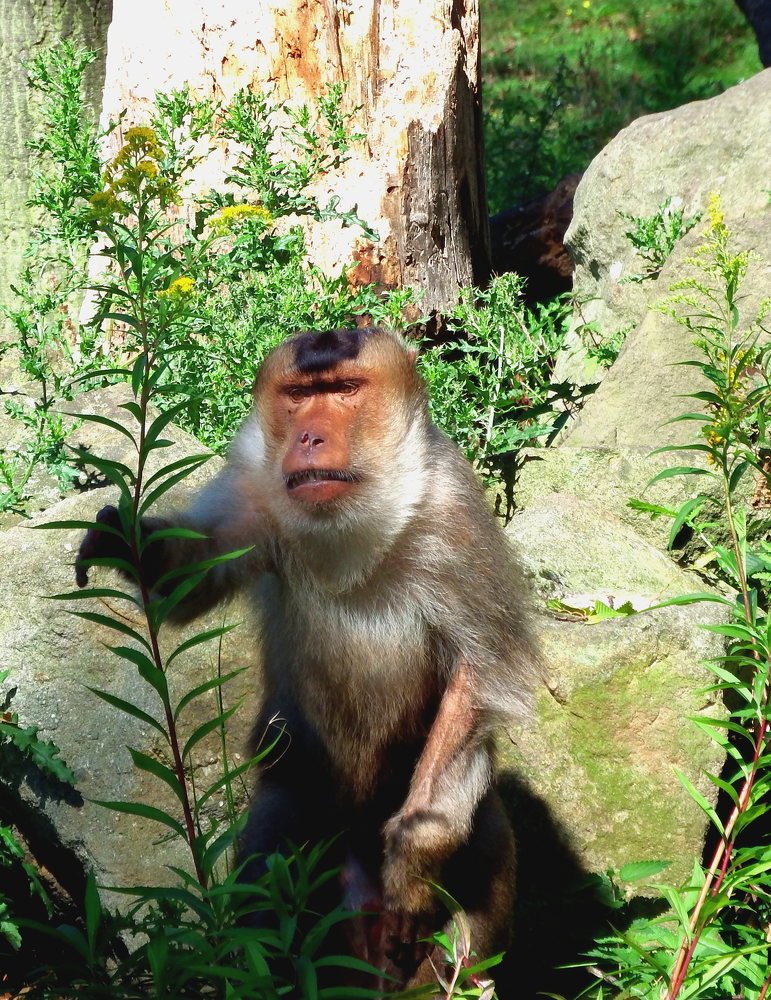 Photograph by Vitalii Kaznin