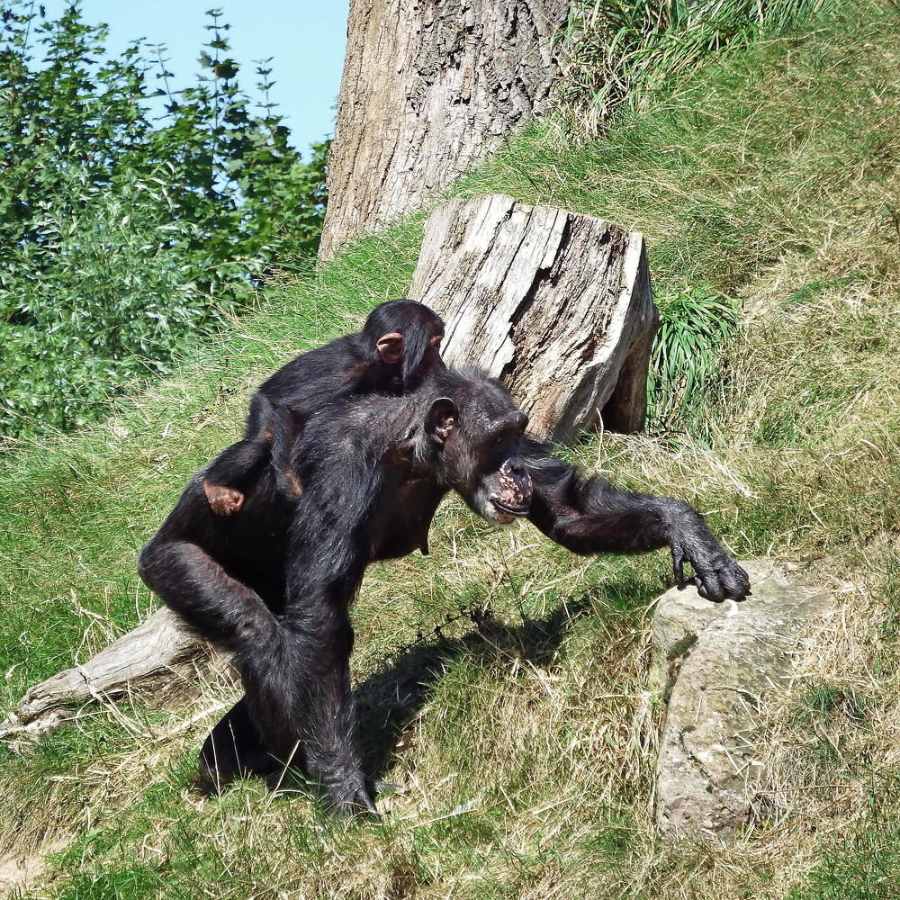 Photograph by Vitalii Kaznin