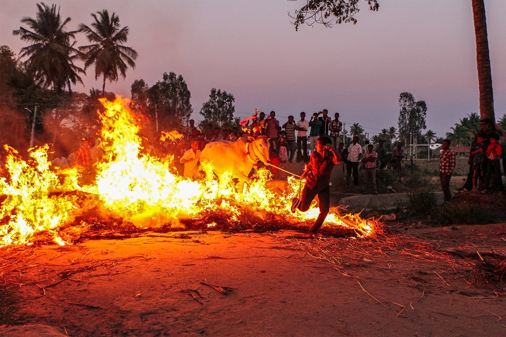 Playing with the fire