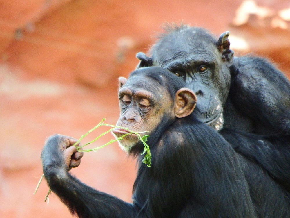 Photograph by Vitalii Kaznin