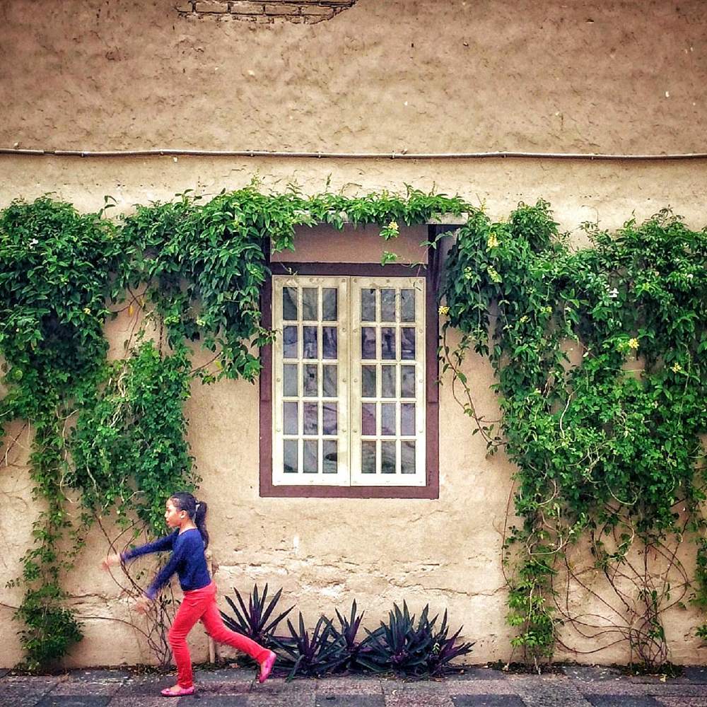 Photograph by Mohd Mohsein bin Mohiedin