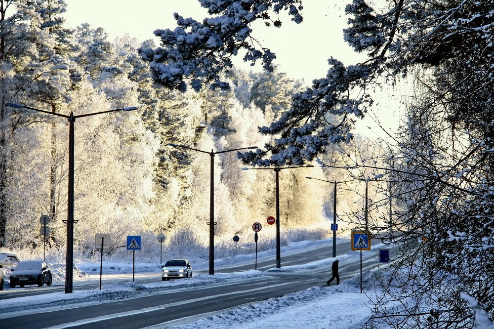 Photograph by Эдуард Петруша