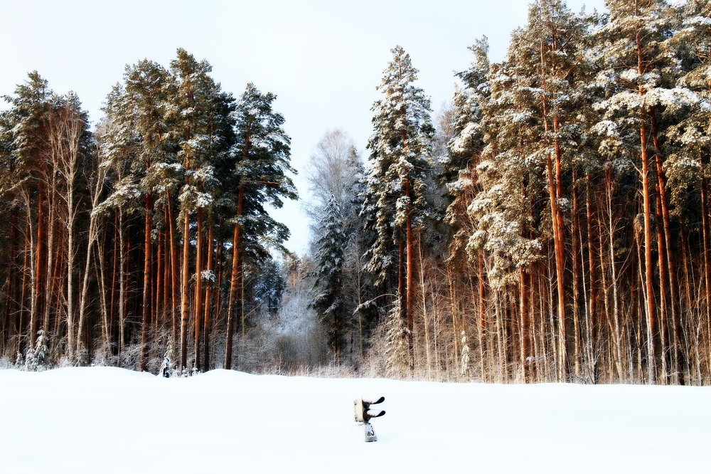 В ожидании чуда