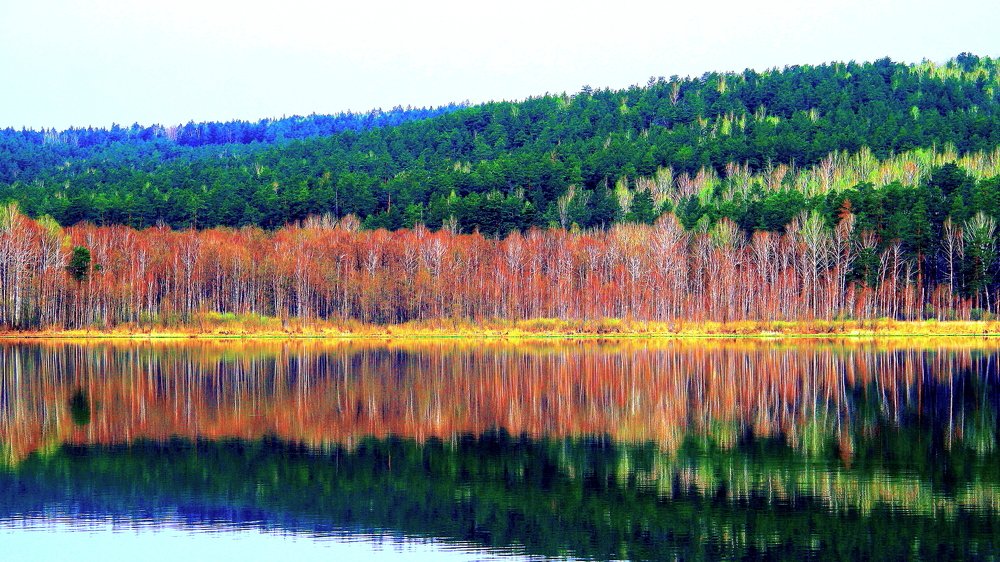 Photograph by Эдуард Петруша