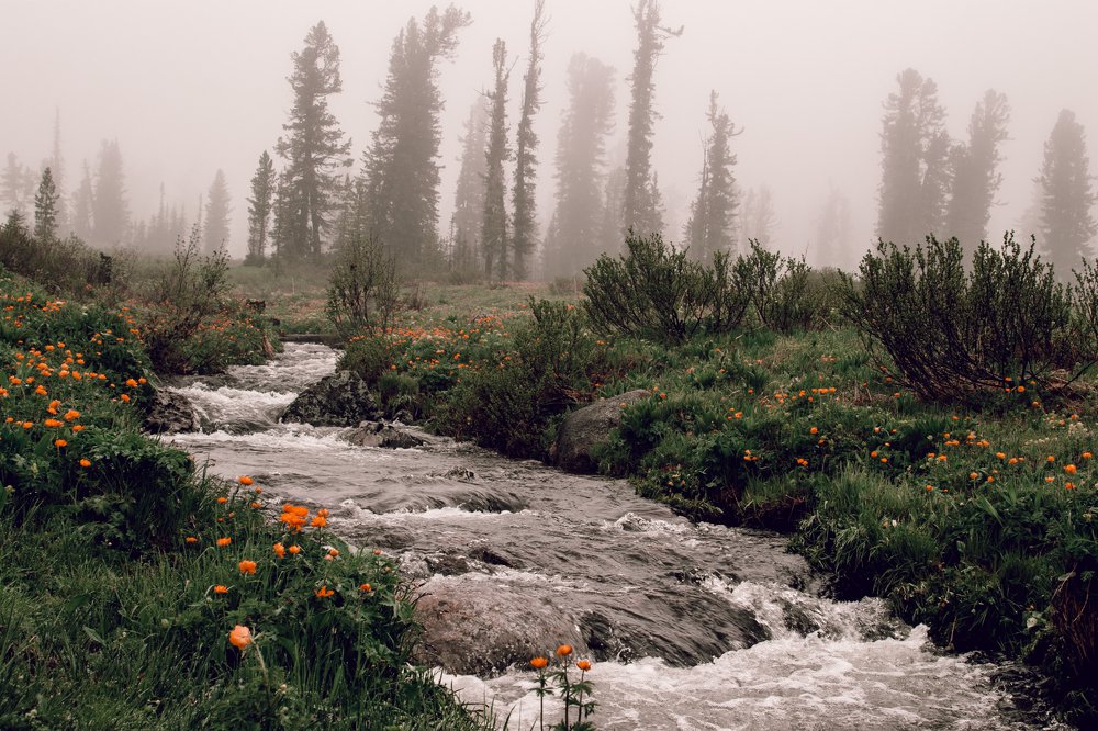 Природный парк Ергаки