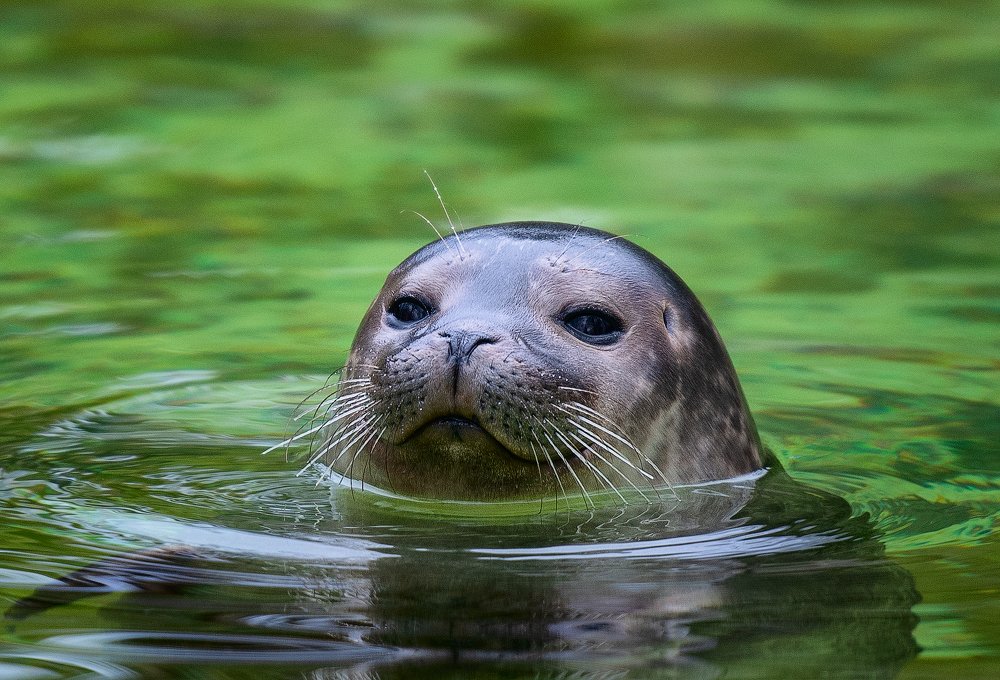 Photograph by Юлия Борт