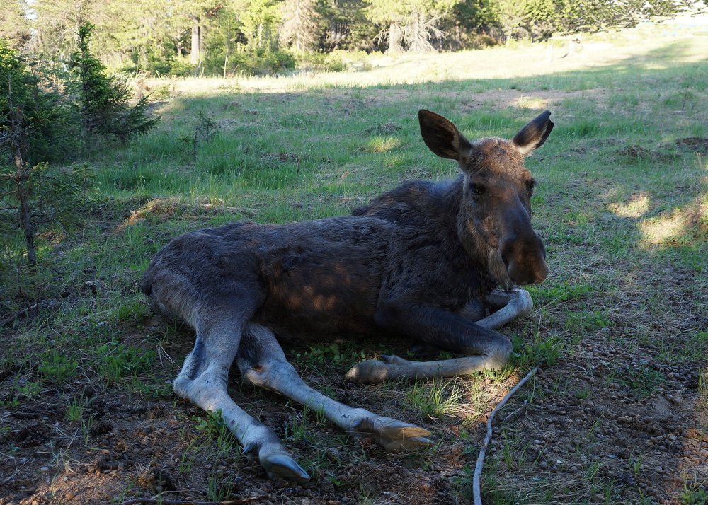 После  долгой  зимы ...