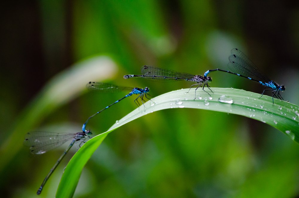 Photograph by Сергей Торхов