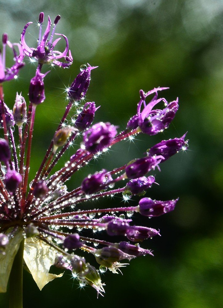 Photograph by Сергей Торхов