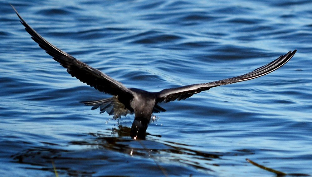 Photograph by Сергей Торхов