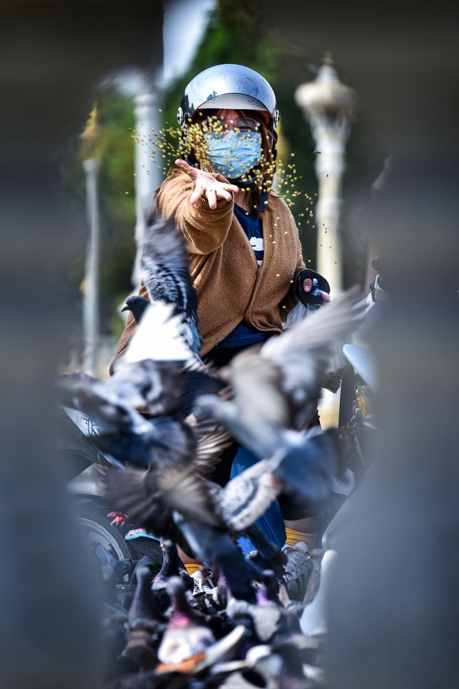 Give Feed The Pigeons