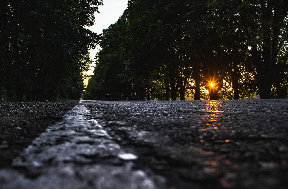 Photograph by Александр Бендус
