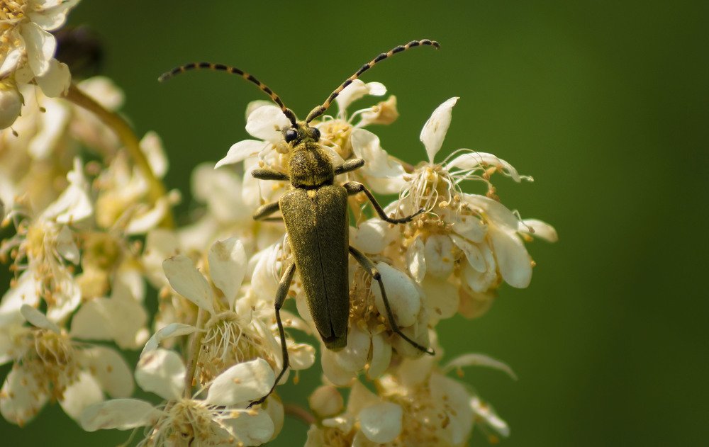 Photograph by Slesareva Nina