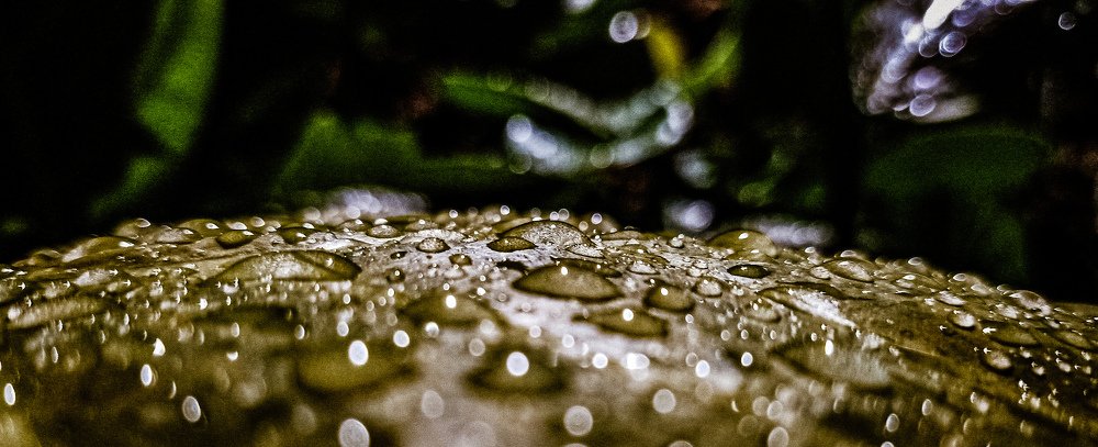 Photograph by Ayush Pal