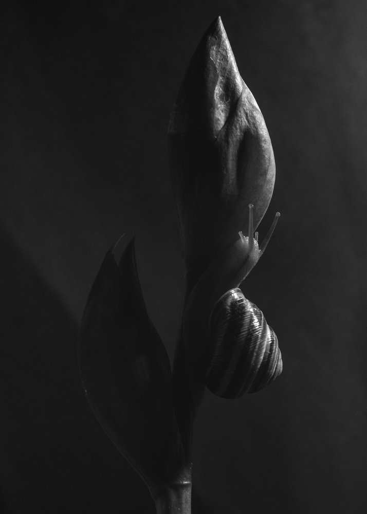 Фотография автора Римма Савина