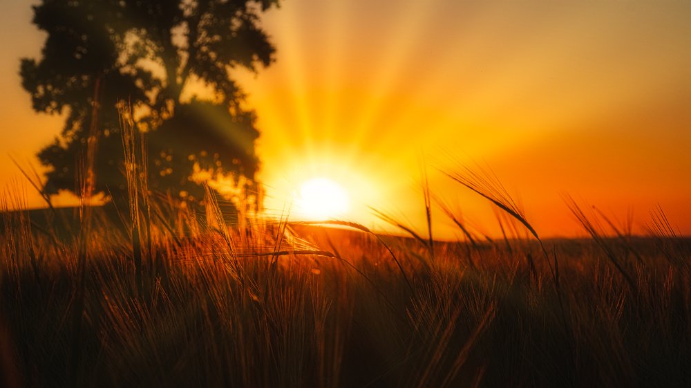 Photograph by Рымаров Александр