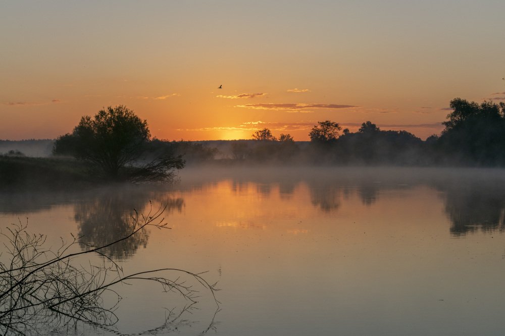 Фотография автора Галина Луценко