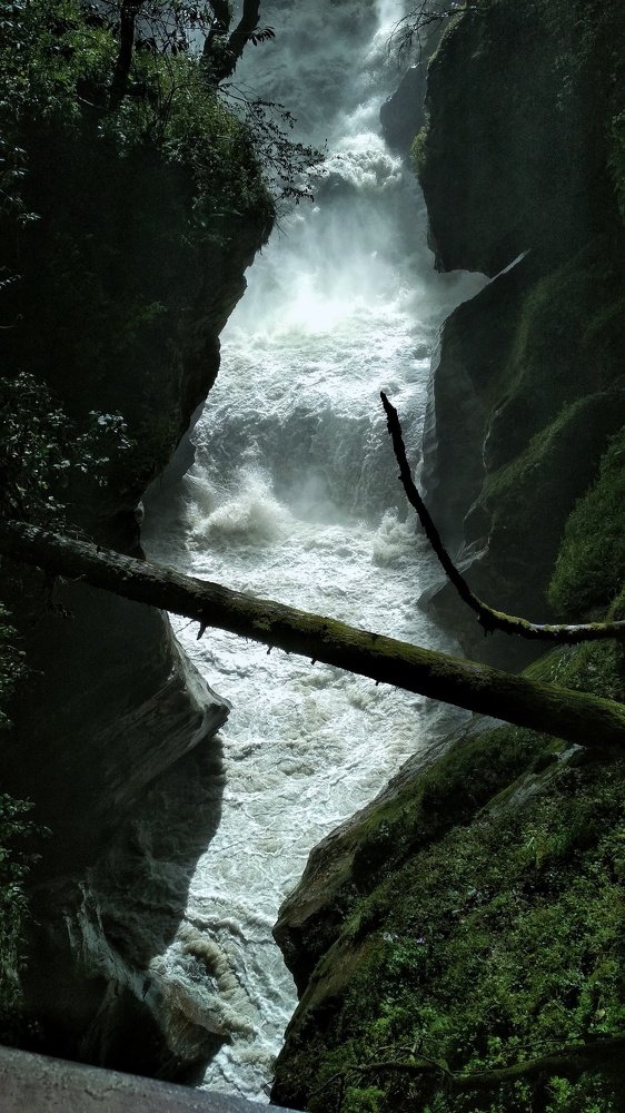 Photo #4678682