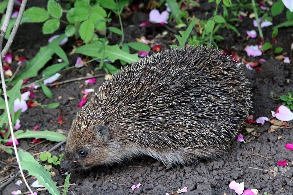 Photograph by Юрий Варюхин