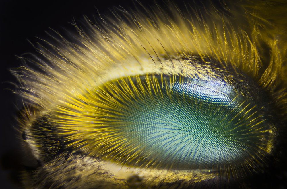 Photograph by Manny Fajutag