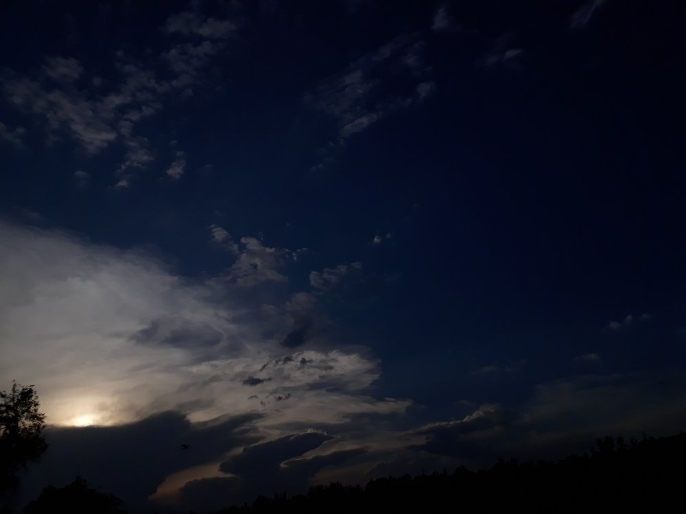Photo #4678762