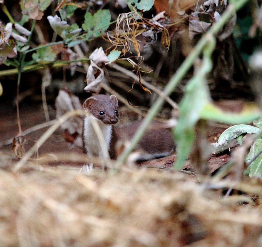 Photograph by Юрий Варюхин