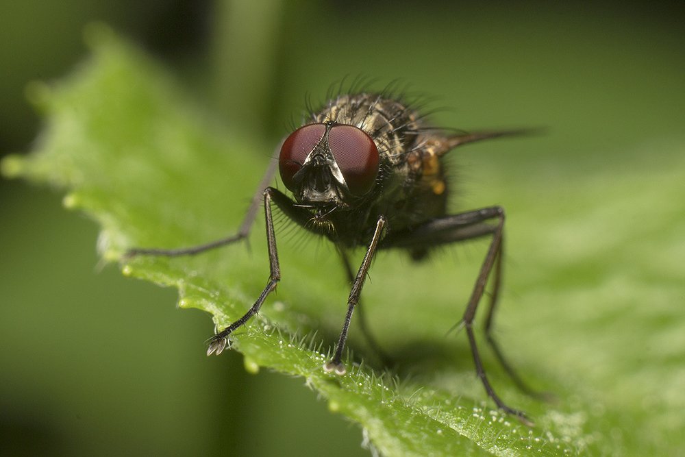 Фотография автора Марина Кулакова