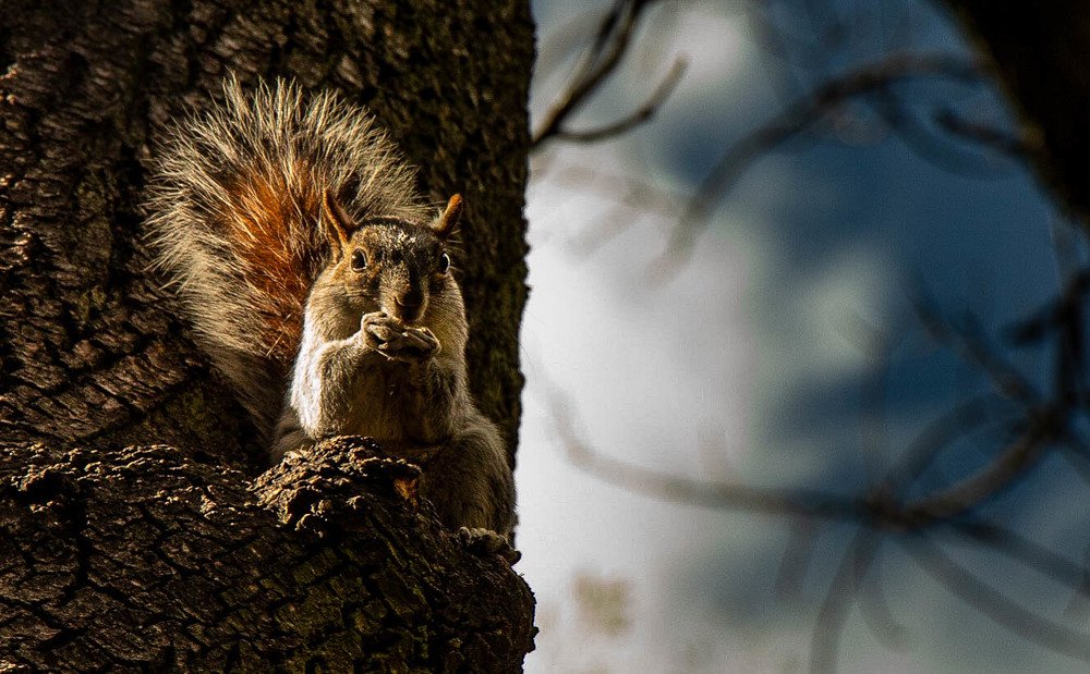 Photograph by Jorge Bagnuoli