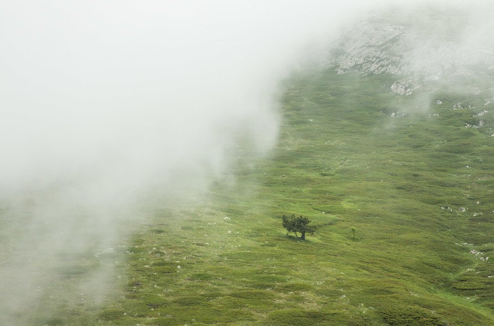 Photograph by Елена Покрепа