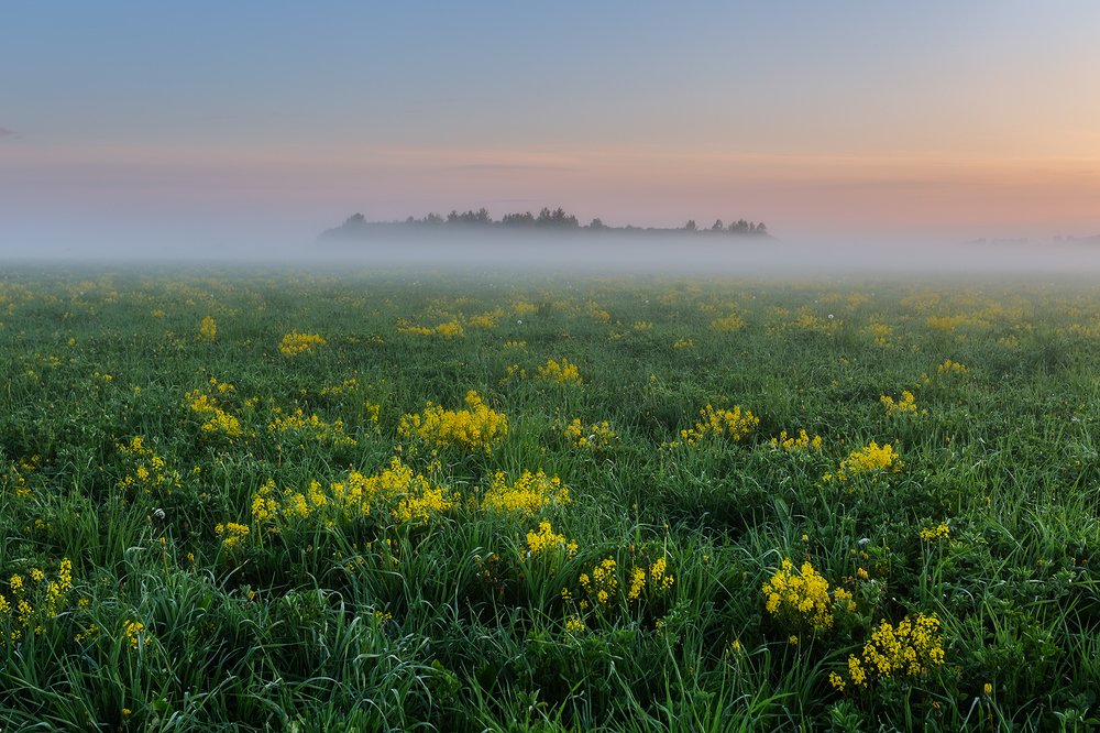 Фотография автора Мартыненко Дмитрий