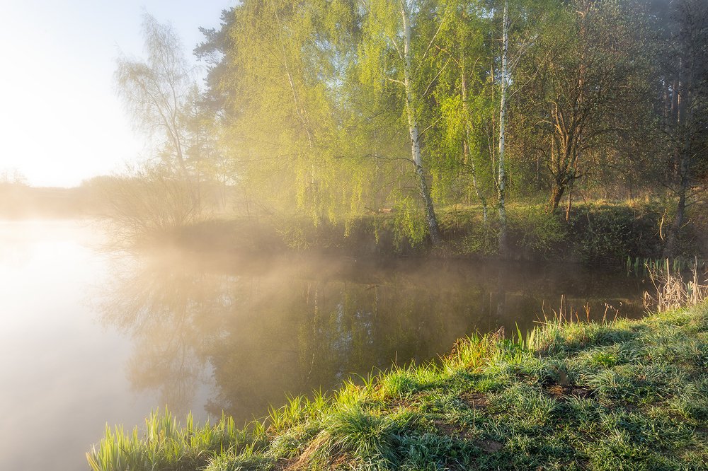 Фотография автора Мартыненко Дмитрий